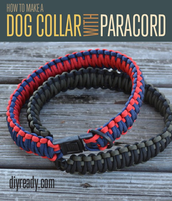 DIY Paracord Dog Collar
 How to Make a Paracord Dog Collar