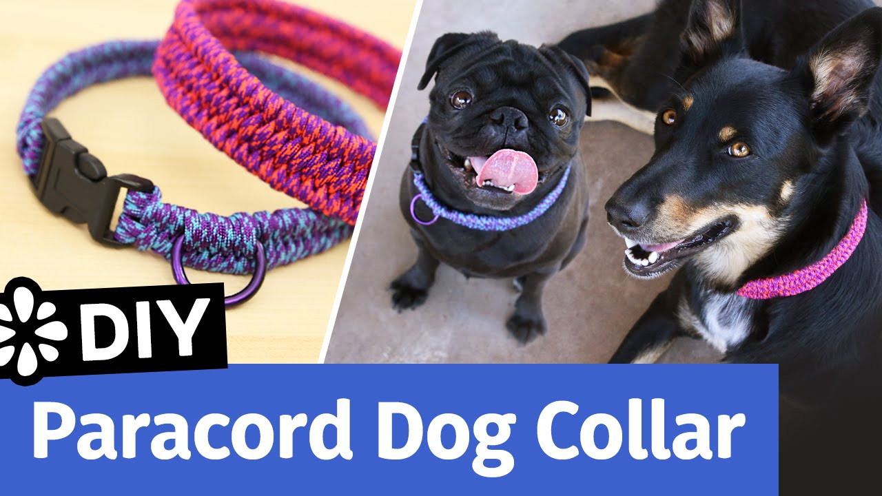 DIY Paracord Dog Collar
 DIY Paracord Dog Collar Small Medium Size
