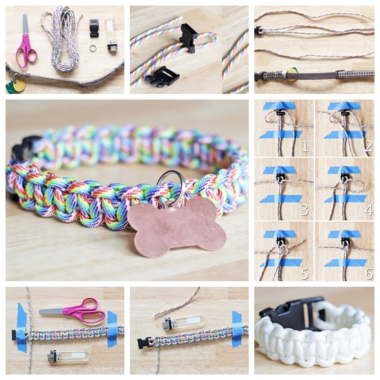 DIY Paracord Dog Collar
 Wonderful DIY Rainbow Paracord Dog Collar