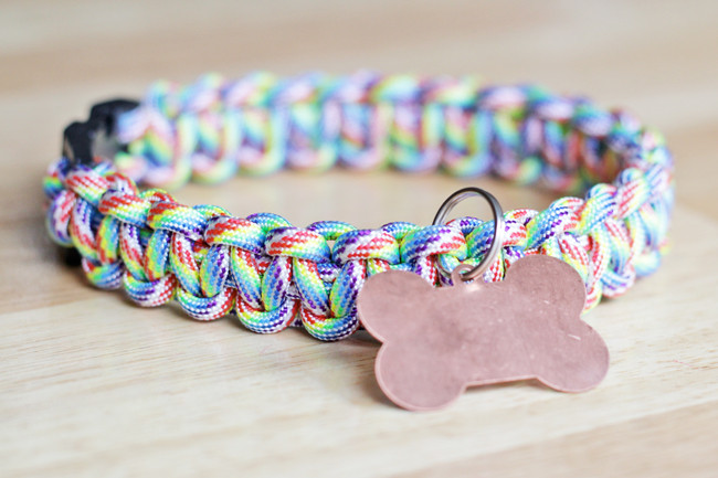 DIY Paracord Dog Collar
 10 Easy DIY Dog Collars To Jazz Up Your Pup s Summer