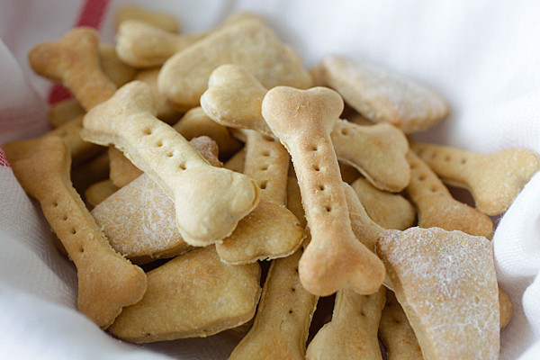 DIY Peanut Butter Dog Treats
 DIY Your Dog Will Go Nuts For These Homemade Peanut