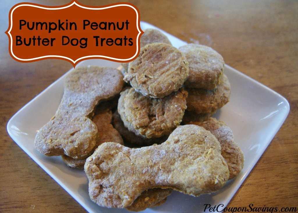 DIY Peanut Butter Dog Treats
 Homemade Pumpkin Peanut Butter Dog Treats use just a few