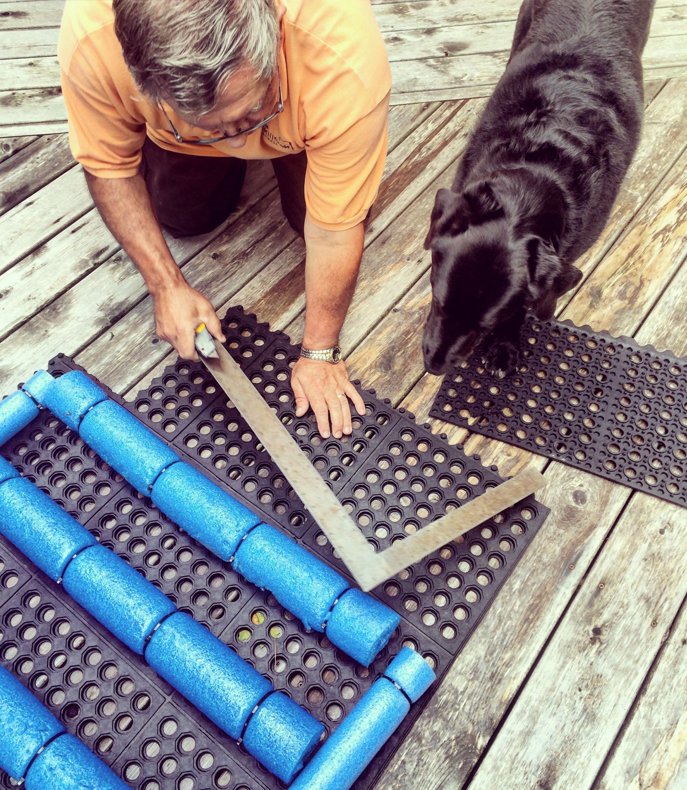 DIY Ramps For Dogs
 DIY Dock & Boat Ramp for Dogs – Halifax Dogventures
