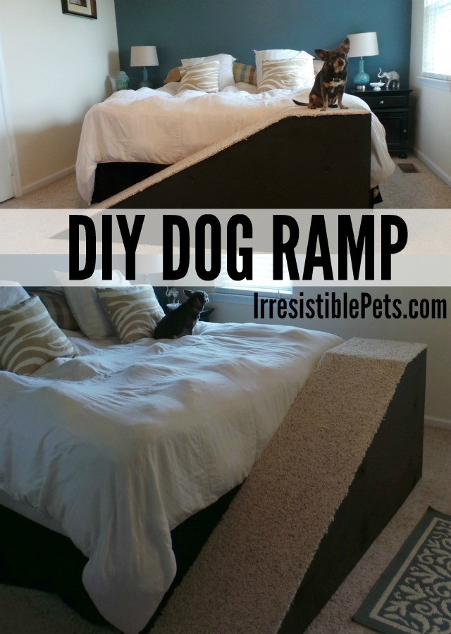 DIY Ramps For Dogs
 DIY Dog Ramp Irresistible Pets