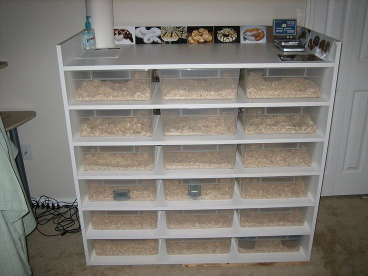 DIY Reptile Rack
 8 best cages images on Pinterest