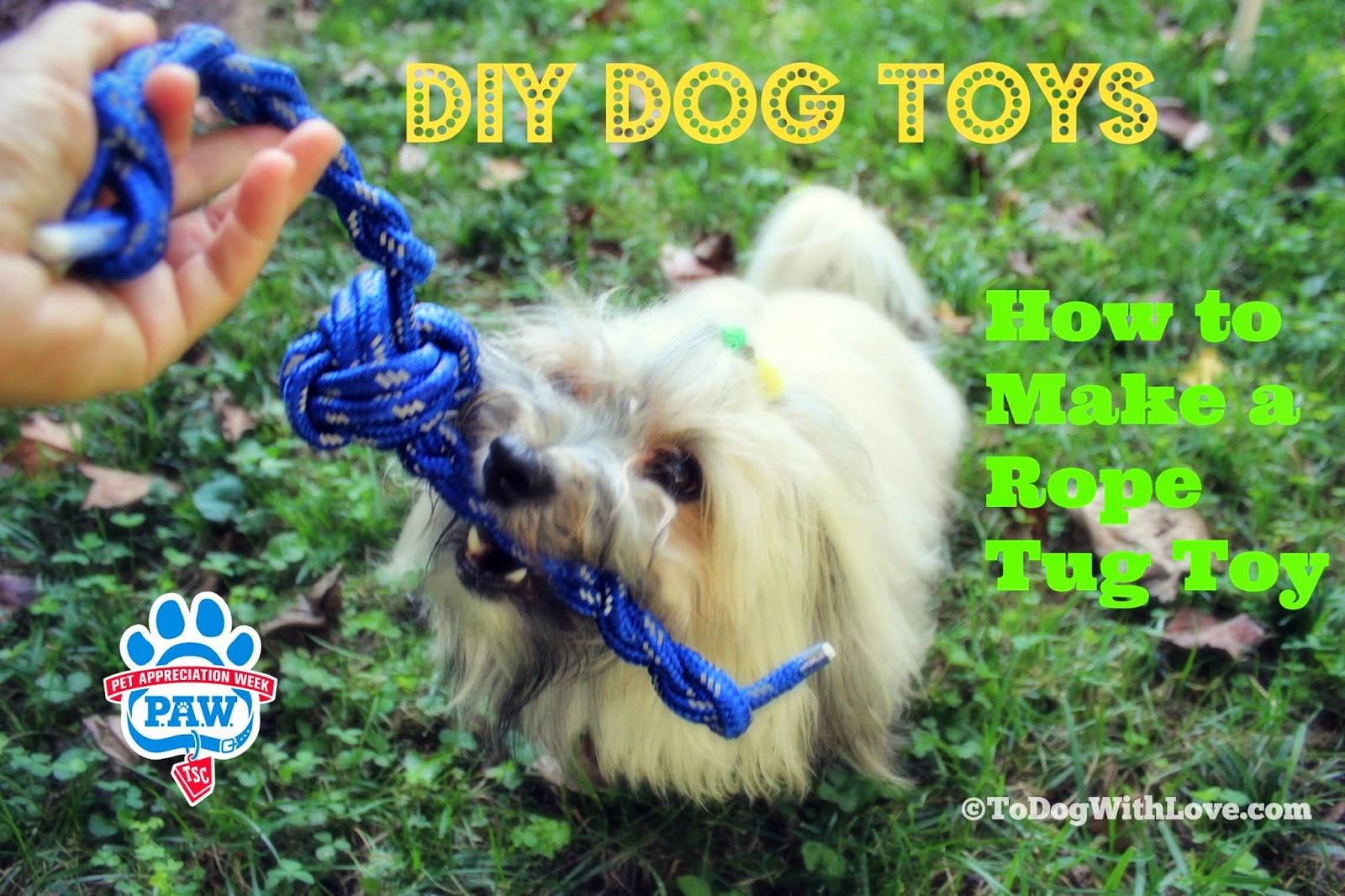 DIY Rope Dog Toy
 To Dog With Love DIY Dog Toys How to Make a Rope Tug Toy