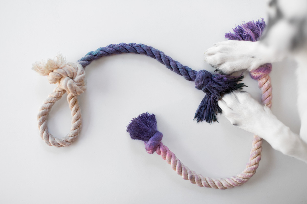 DIY Rope Dog Toy
 DIY All Natural Rope Toy for your Precious Pup
