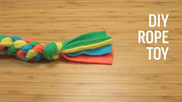 DIY Rope Dog Toy
 Blog