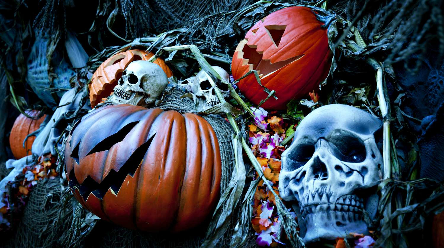 Diy Scary Indoor Halloween Decorations
 Halloween Decorations And Projects