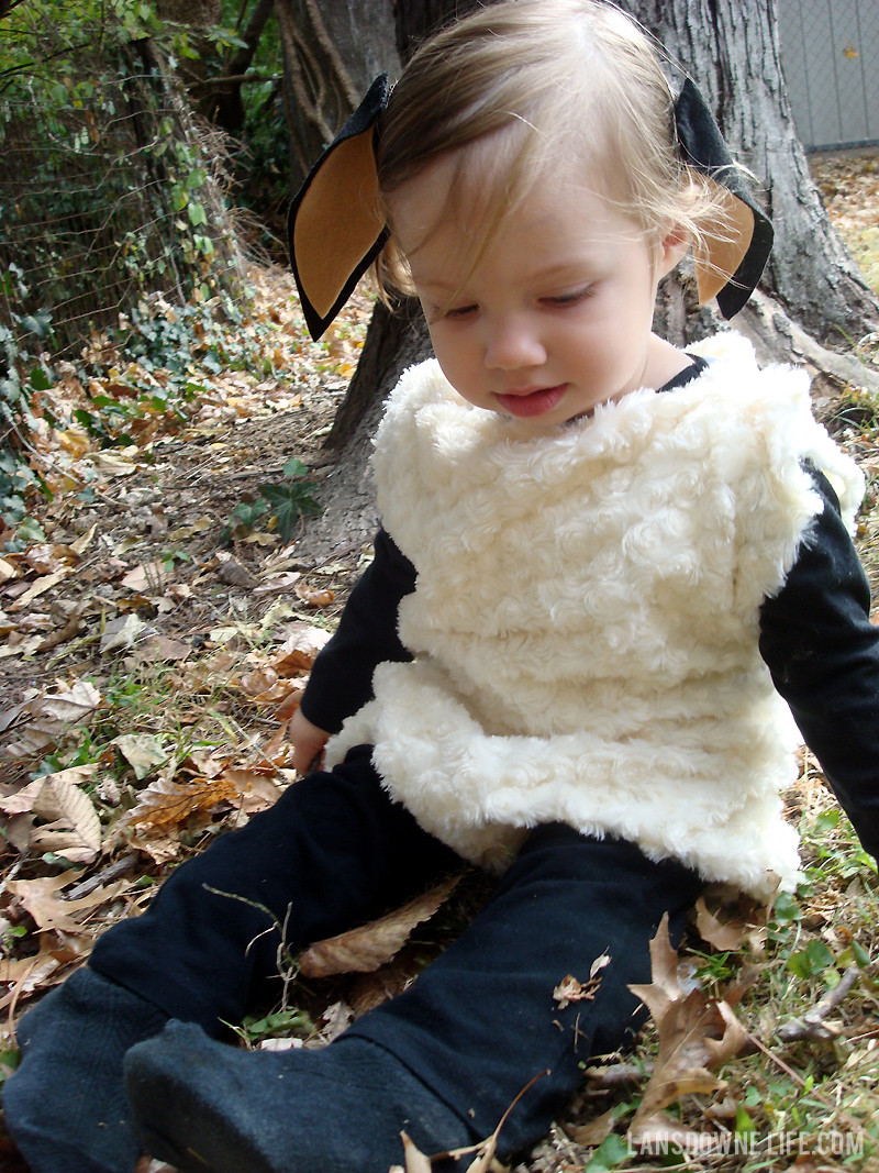 DIY Sheep Costume
 Halloween DIY lamb costume Lansdowne Life