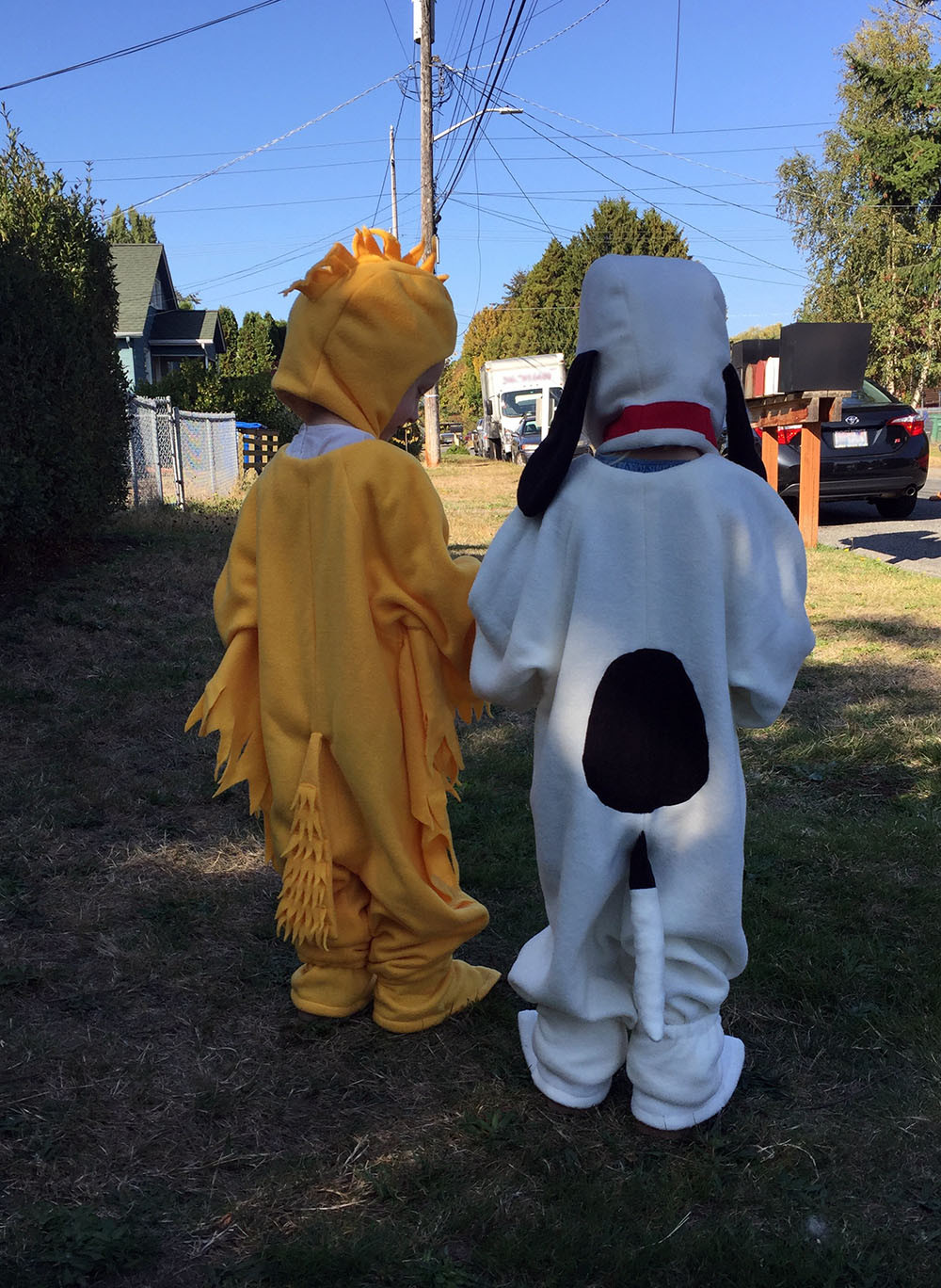 DIY Snoopy Costume
 Snoopy and Woodstock Halloween Costumes – Easy Craft and Sew