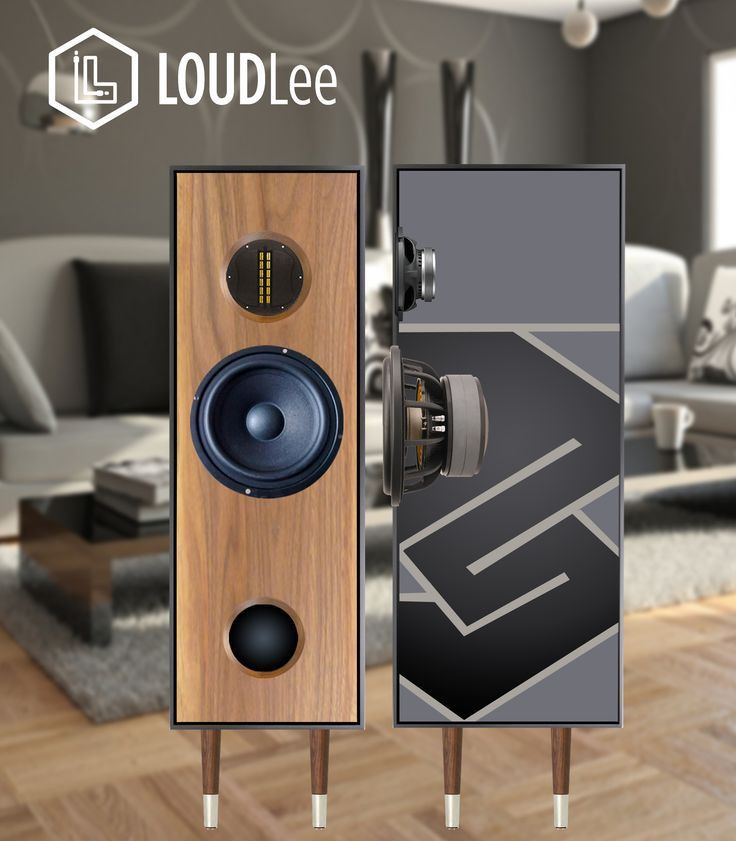 DIY Speaker Box Design
 Image result for ribbon tweeter and woofer dust cap