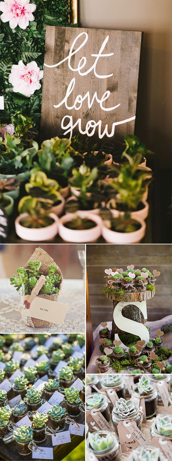 DIY Succulent Wedding Favors
 46 Best Ideas to Incorporate Succulents into Your Weddings