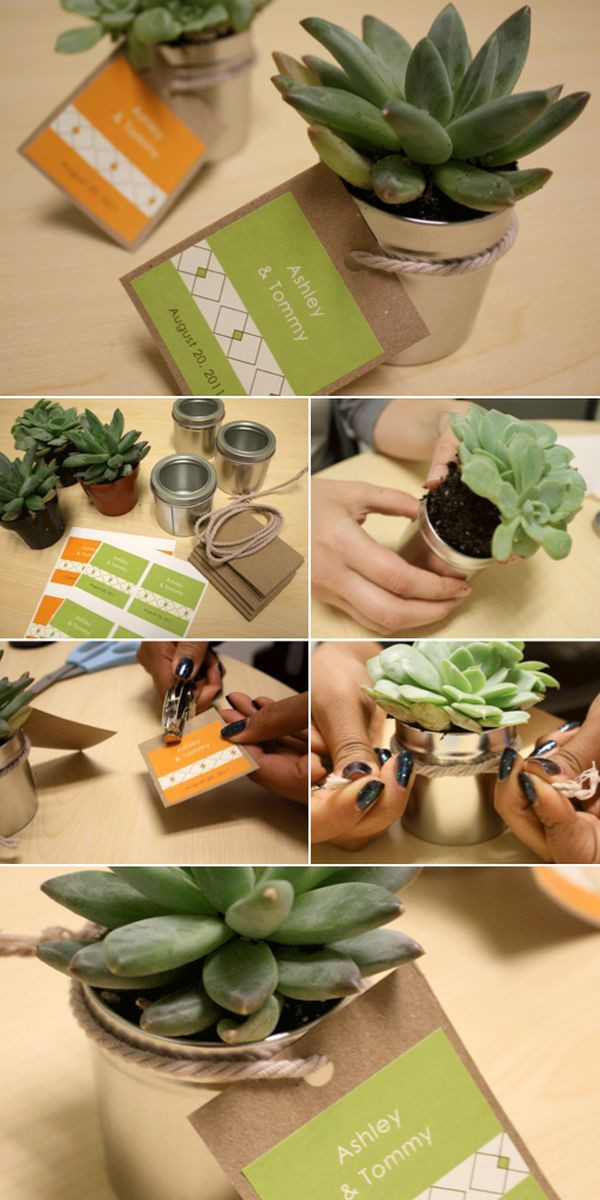 DIY Succulent Wedding Favors
 35 Cute And Easy To Make Wedding Favor Ideas