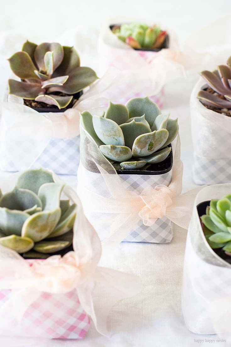 DIY Succulent Wedding Favors
 ideas to personalize a wedding