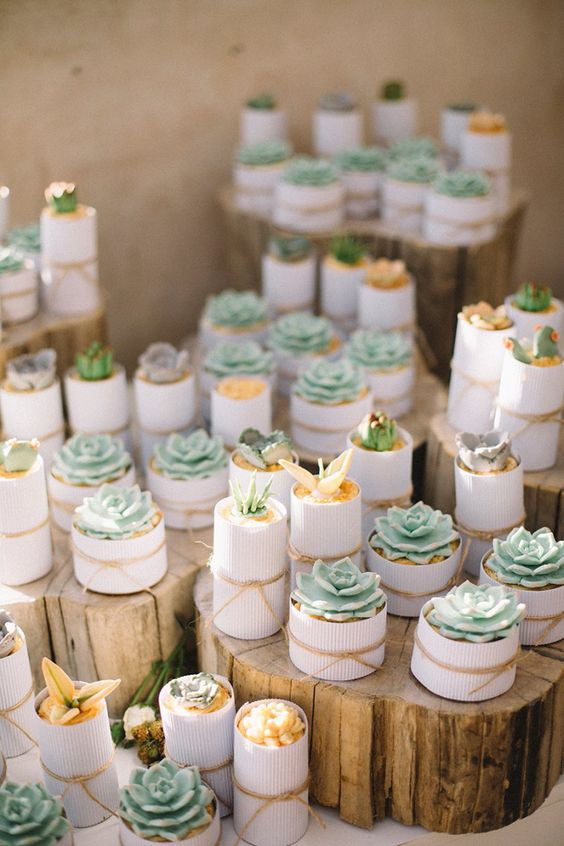 DIY Succulent Wedding Favors
 105 Creative Succulent Wedding Decor Ideas – Page 3 – Hi