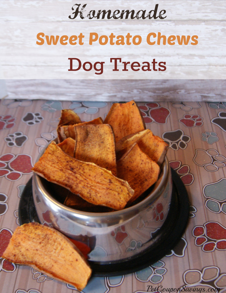 DIY Sweet Potato Dog Treats
 5 "Delicious" Homemade Treats Your Pooch Will Love Find