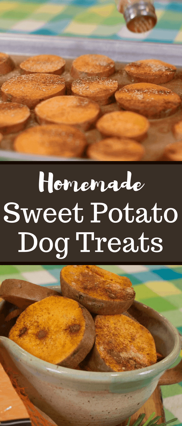 DIY Sweet Potato Dog Treats
 Sweet Potato Dog Treats The Produce Moms