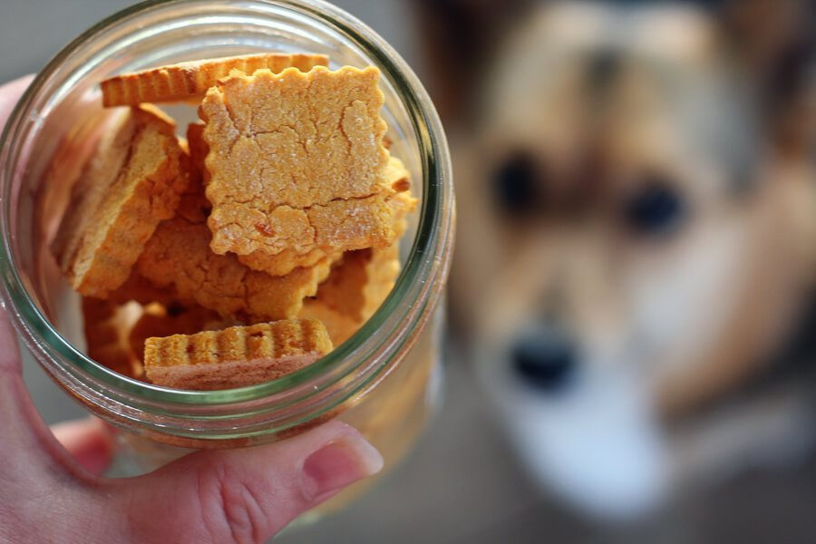 DIY Sweet Potato Dog Treats
 Sweet Potato Homemade Dog Treats