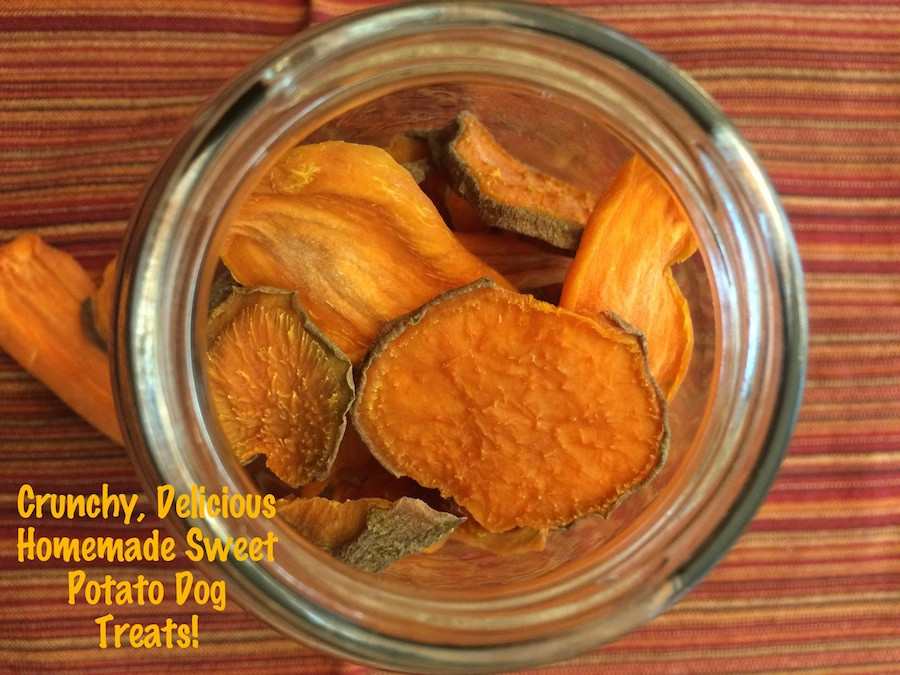 DIY Sweet Potato Dog Treats
 Spoiling Your Dogs With Dehydrated Organic Homemade