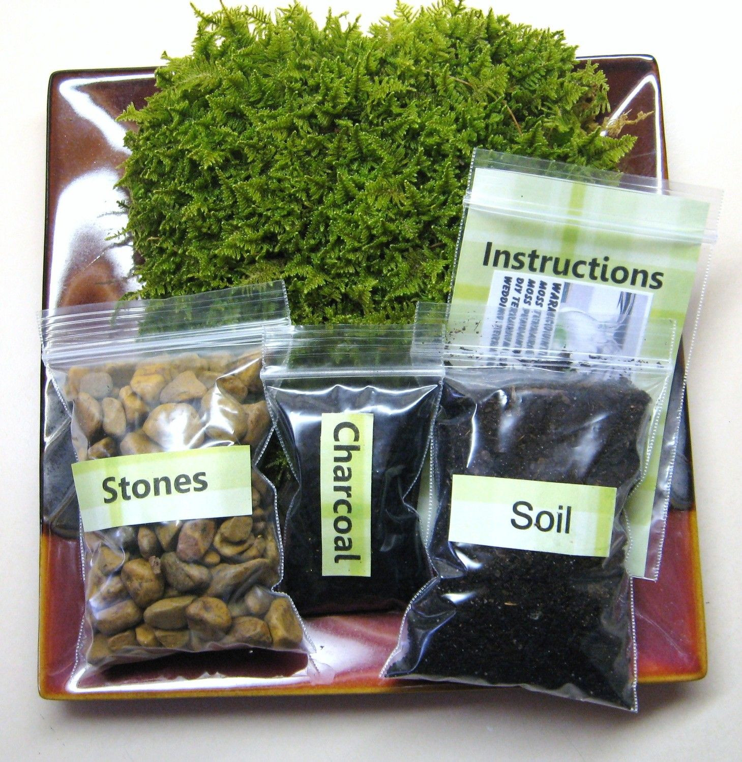 DIY Terrarium Kit
 Moss Terrarium Kit DIY Terrarium Kit Autumn Terrarium