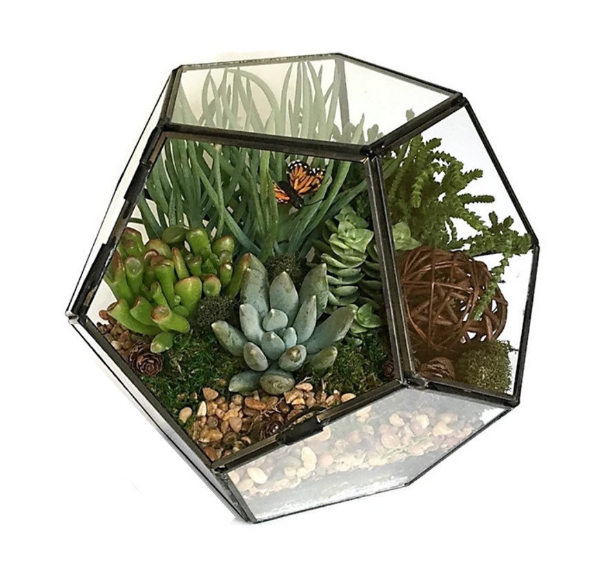DIY Terrarium Kits
 Geometric Succulent Terrarium Kit Succulent DIY