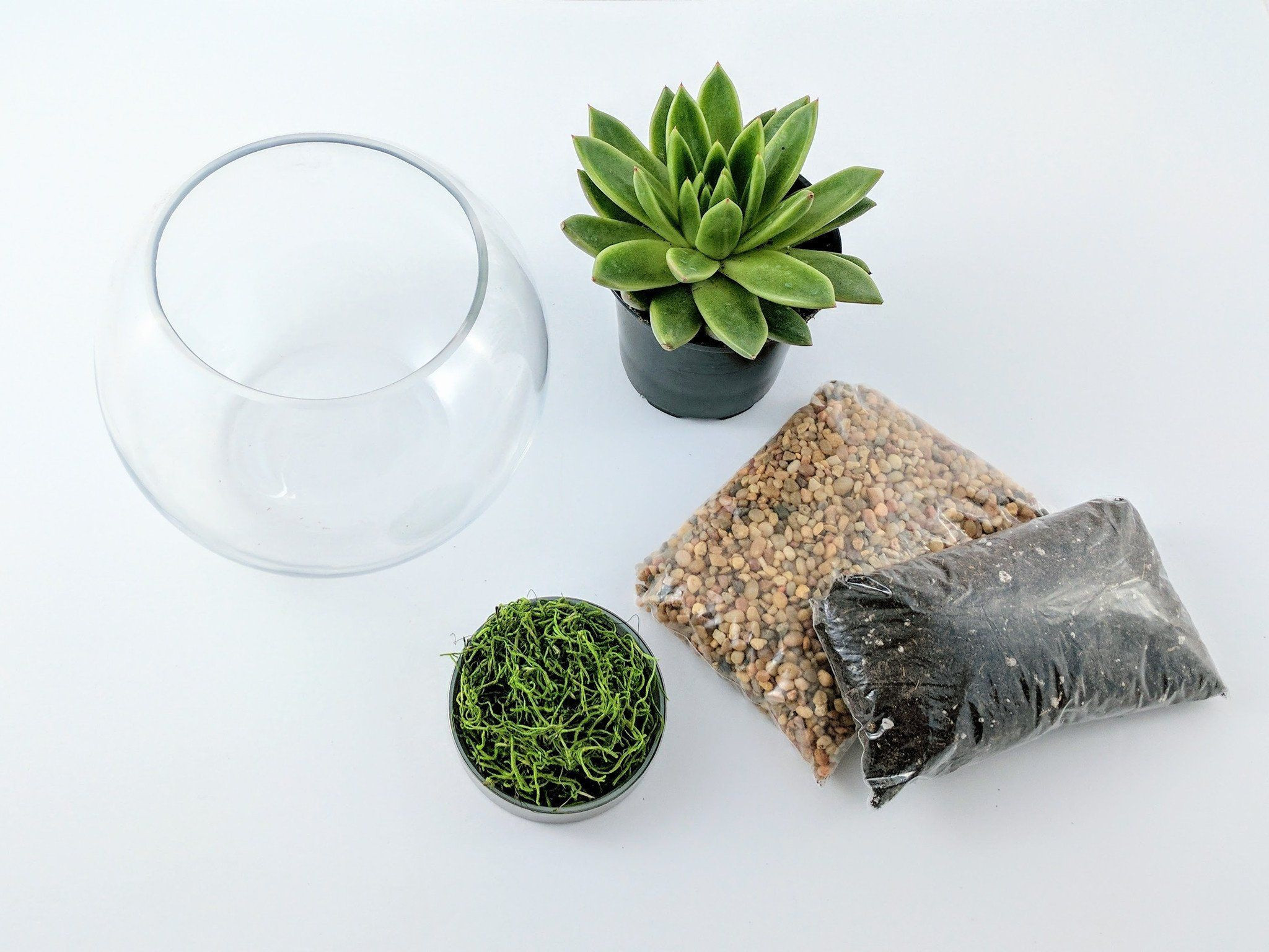DIY Terrarium Kits
 DIY Succulent Terrarium Kit Fishbowl – Succuterra