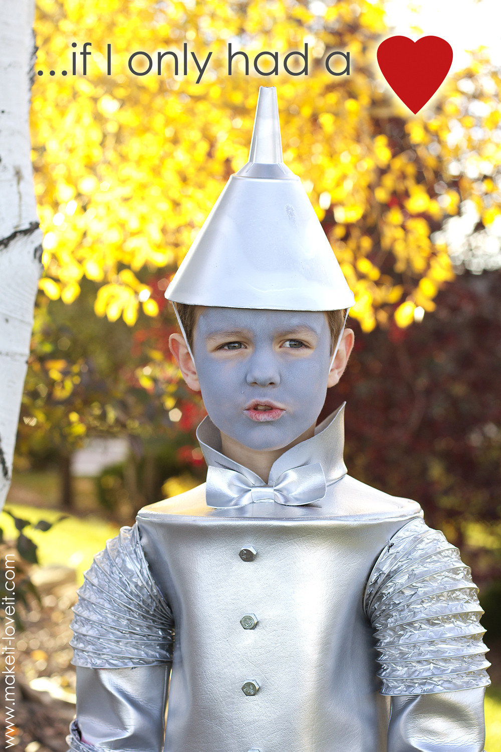 DIY Tin Man Costume
 Best 35 Diy Tin Man Costumes Home DIY Projects