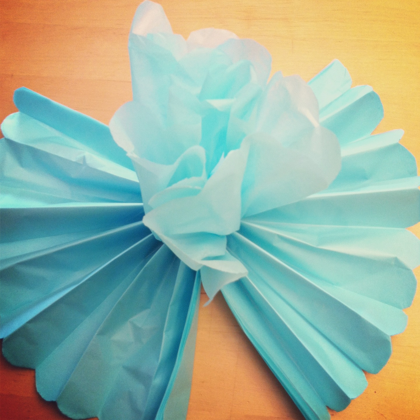 DIY Tissue Paper Decorations
 Tutorial How To Make DIY Giant Tissue Paper Flowers