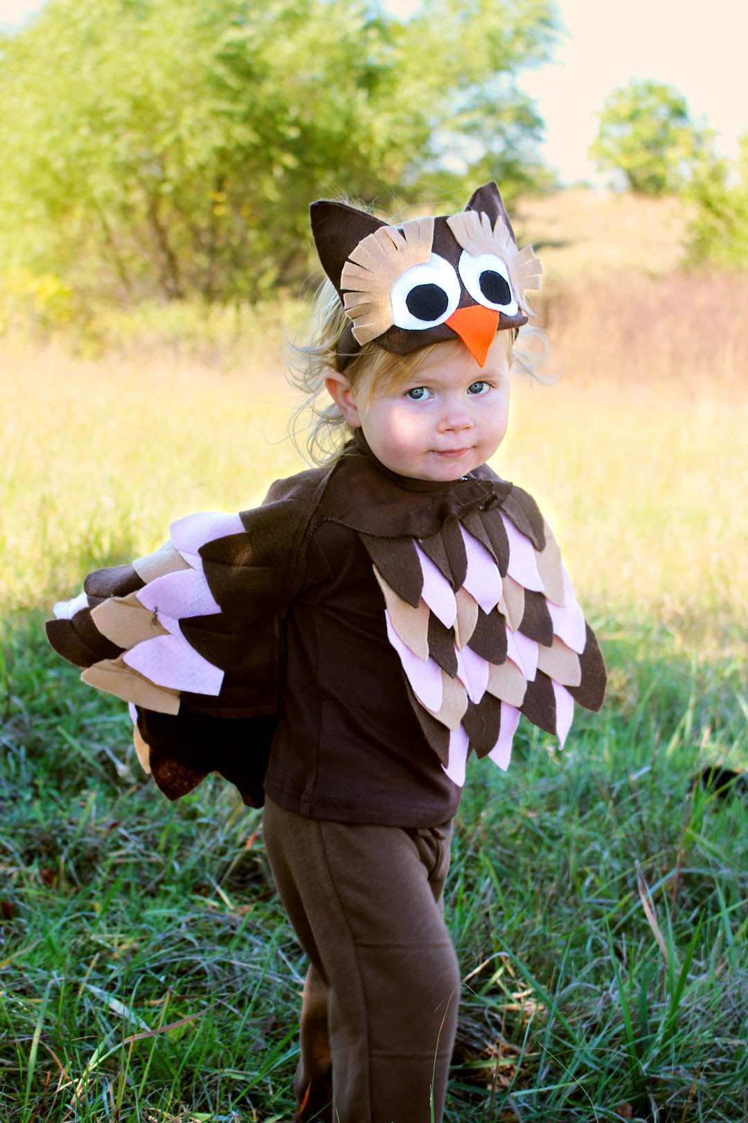 30 Best Ideas Diy toddler Owl Costume - Home, Family, Style and Art Ideas