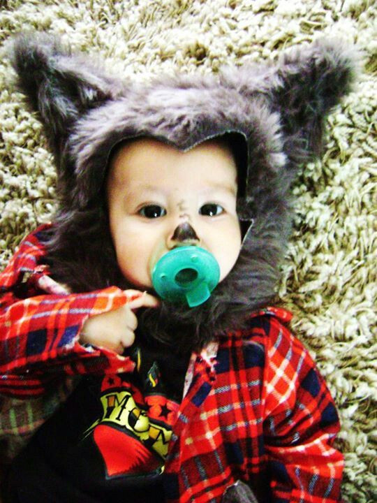 DIY Toddler Wolf Costume
 31 best Halloween Costume Ideas Werewolf images on