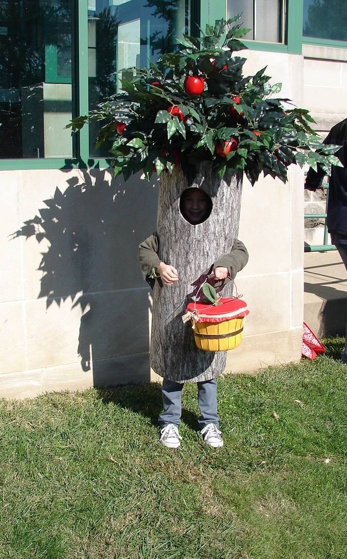 DIY Tree Costume
 Crab Apple tree costume we made for our granddaughter