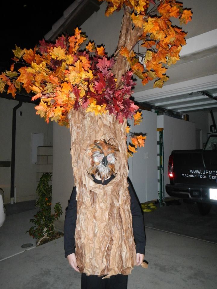 DIY Tree Costume
 Homemade tree costume childhood Pinterest
