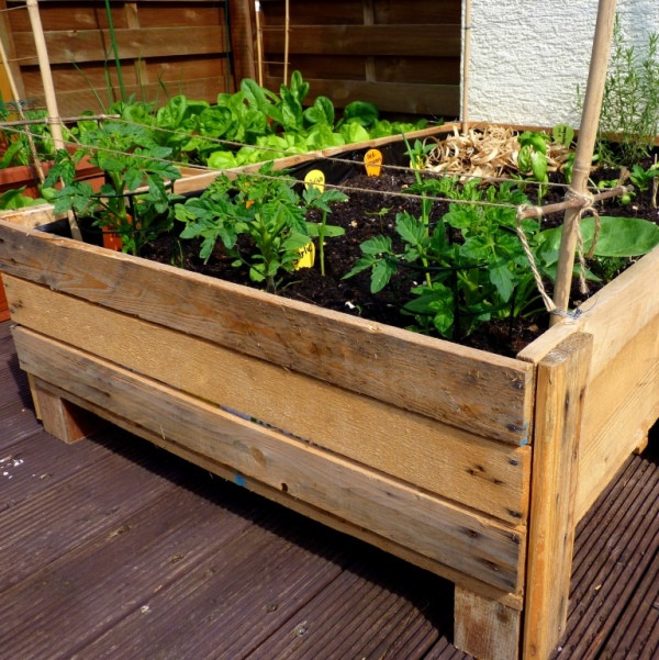 DIY Vegetable Garden Box
 Container Gardening DIY Planter box from pallets