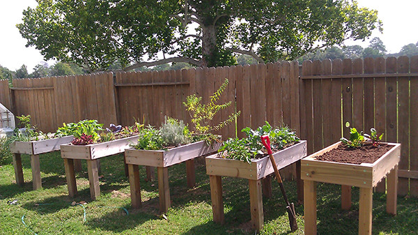 DIY Vegetable Garden Box
 DIY Raised Planter Box Ve able Garden Decoist