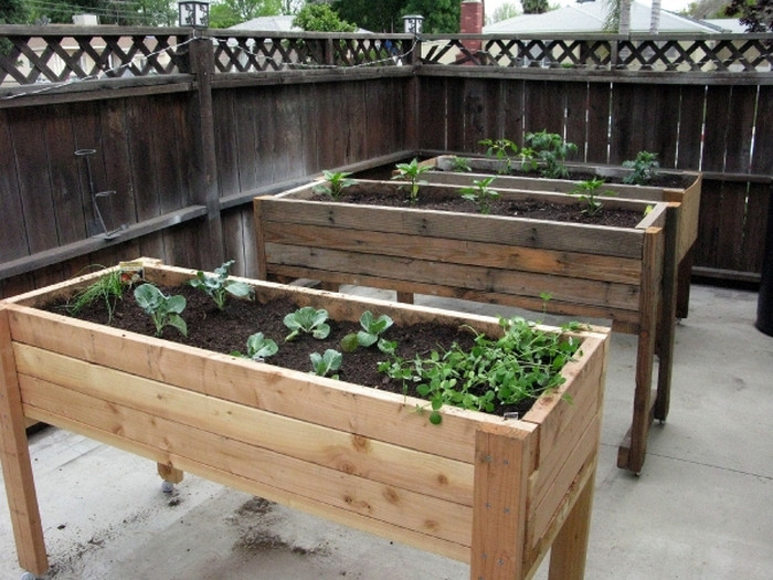 DIY Vegetable Garden Box
 DIY Waist High Planter Box – Your Projects OBN