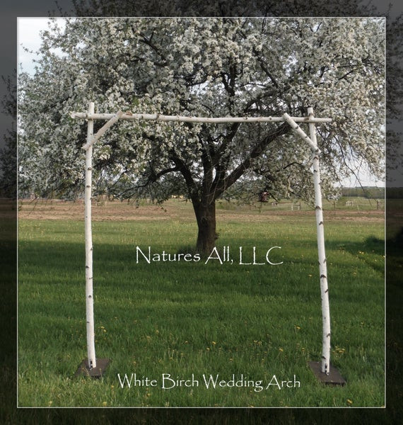 DIY Wedding Arch Kits
 White Birch Wedding Arch White Birch Arbor plete Kit For