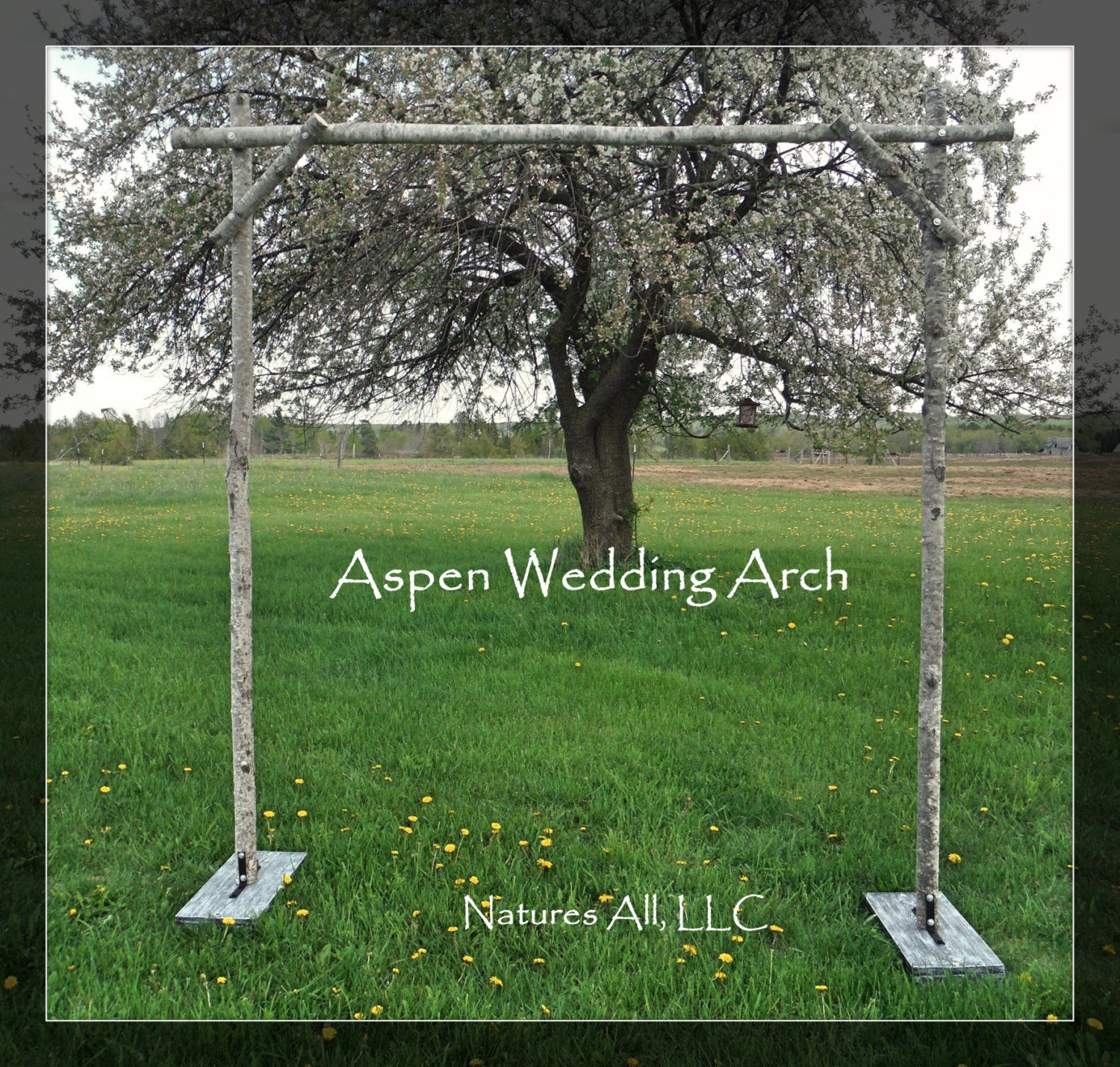 DIY Wedding Arch Kits
 Aspen Wedding Arch Aspen Arbor plete Kit For Indoor Or