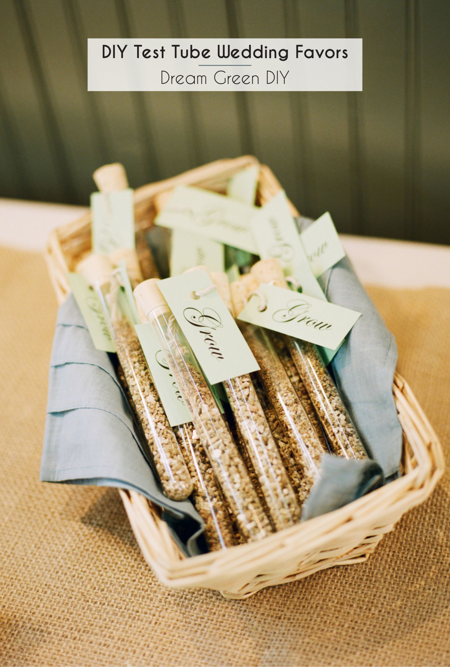 DIY Wedding Favour Ideas
 DIY Test Tube Wedding Favors Dream Green DIY