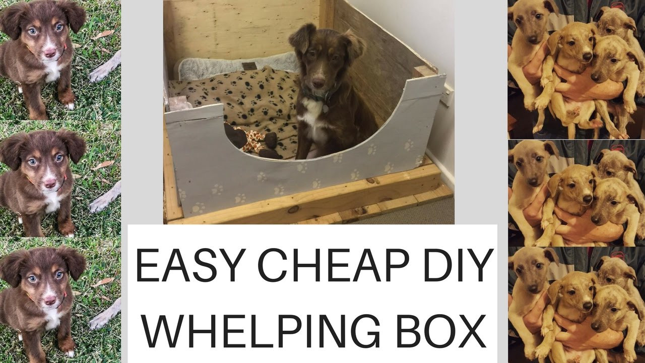 DIY Whelping Boxes
 Easy Cheap Diy Whelping box plus PUPPY UPDATE