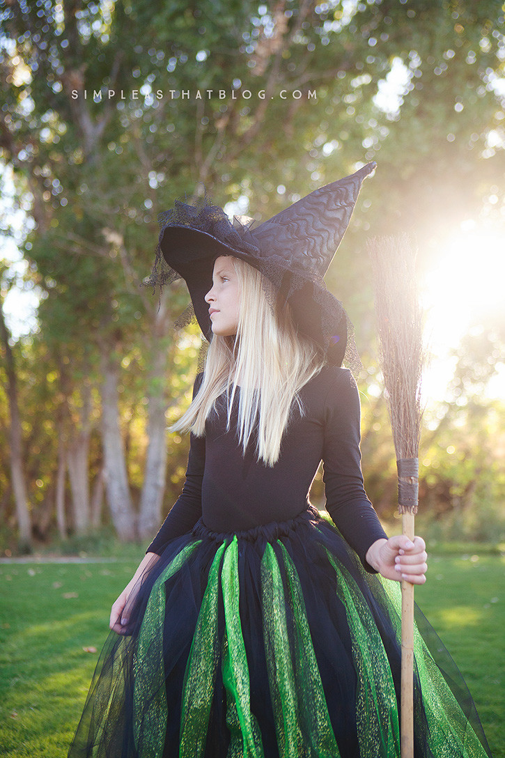 DIY Witch Costume For Kids
 DIY Glinda and Wicked Witch of the West Halloween Costumes
