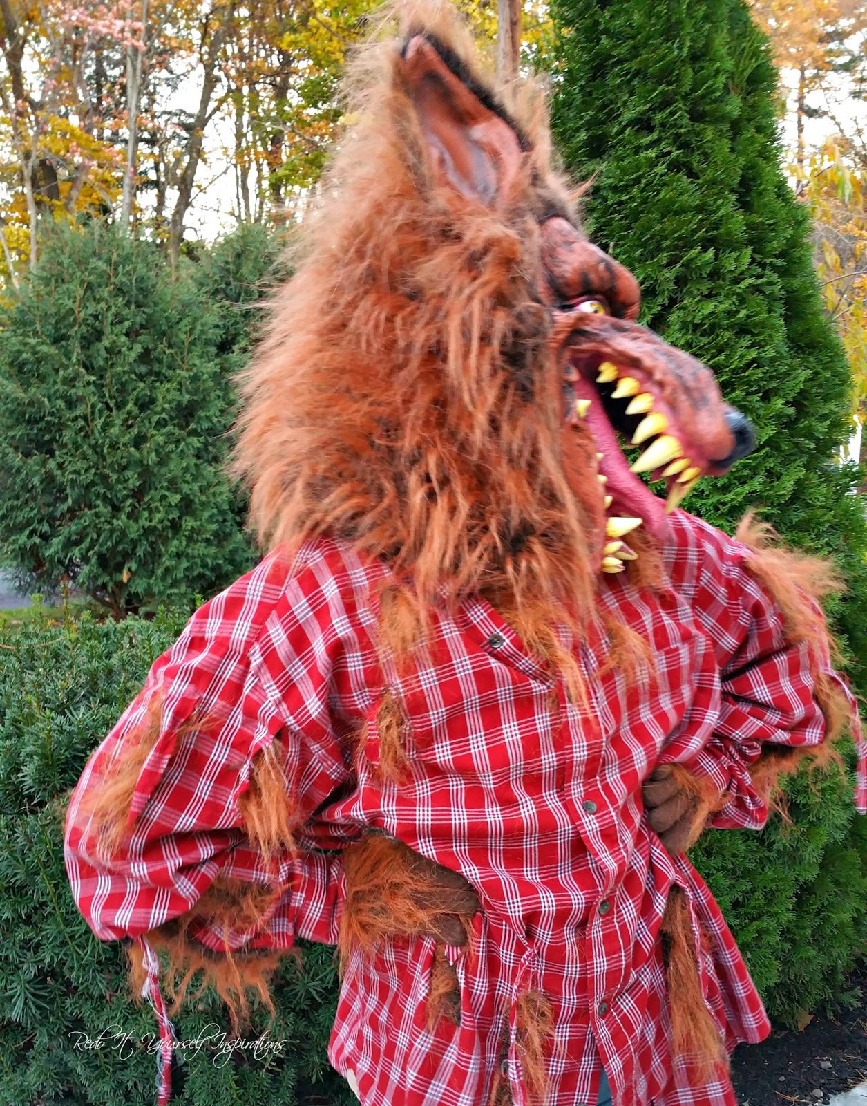 DIY Wolf Costume
 Easy DIY Werewolf Costume