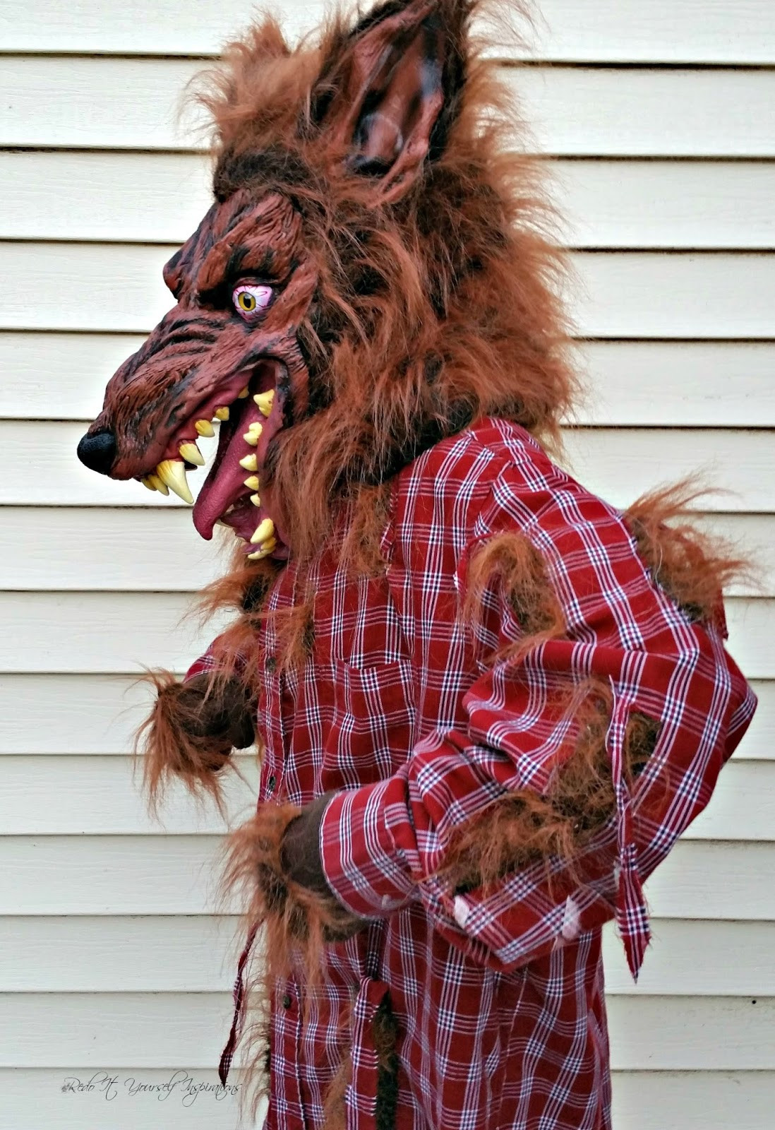 DIY Wolf Costume
 Easy DIY Werewolf Costume