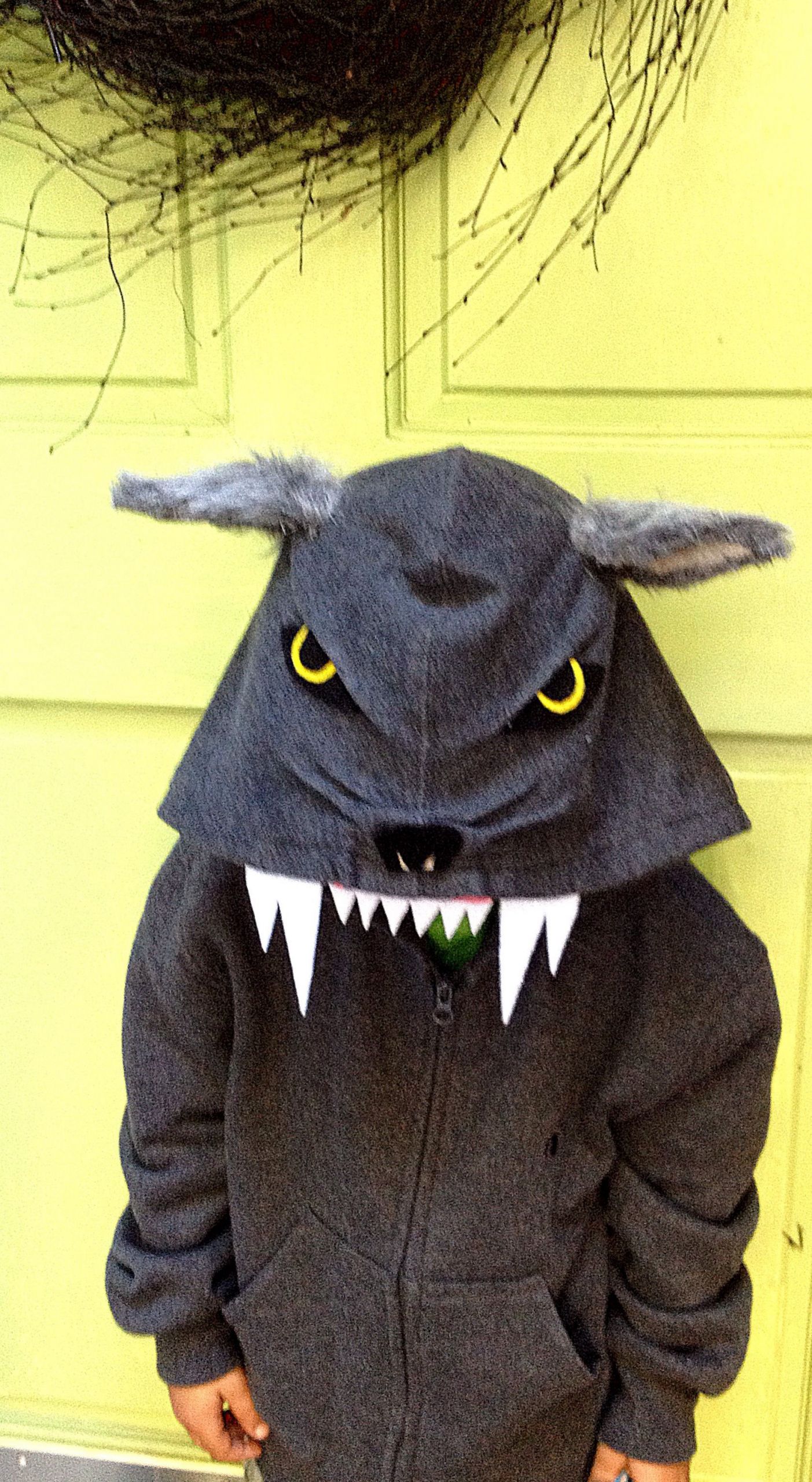 DIY Wolf Costume
 Wolf costume plete