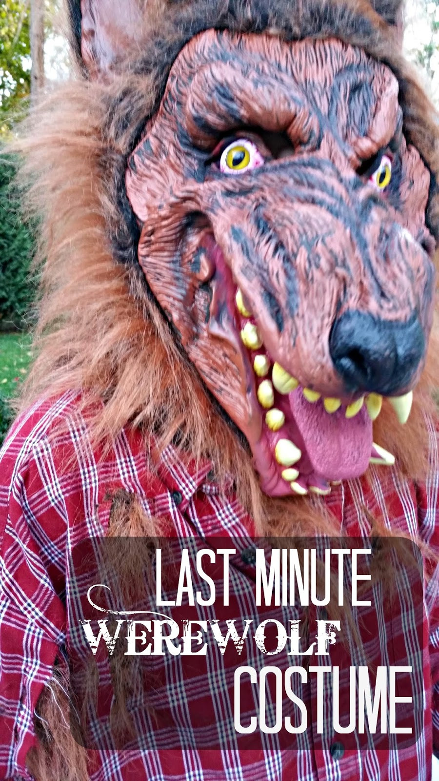 DIY Wolf Costume
 Easy DIY Werewolf Costume