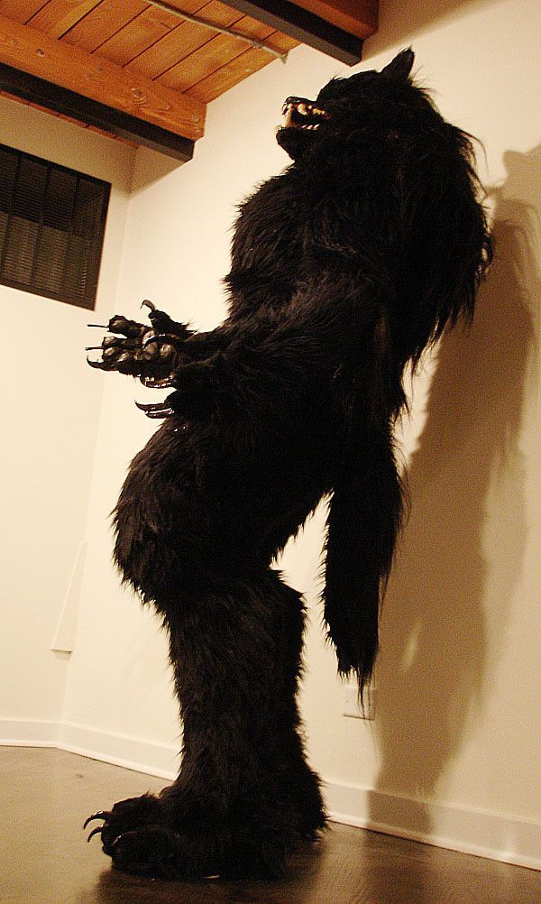 DIY Wolf Costume
 Werewolf costume