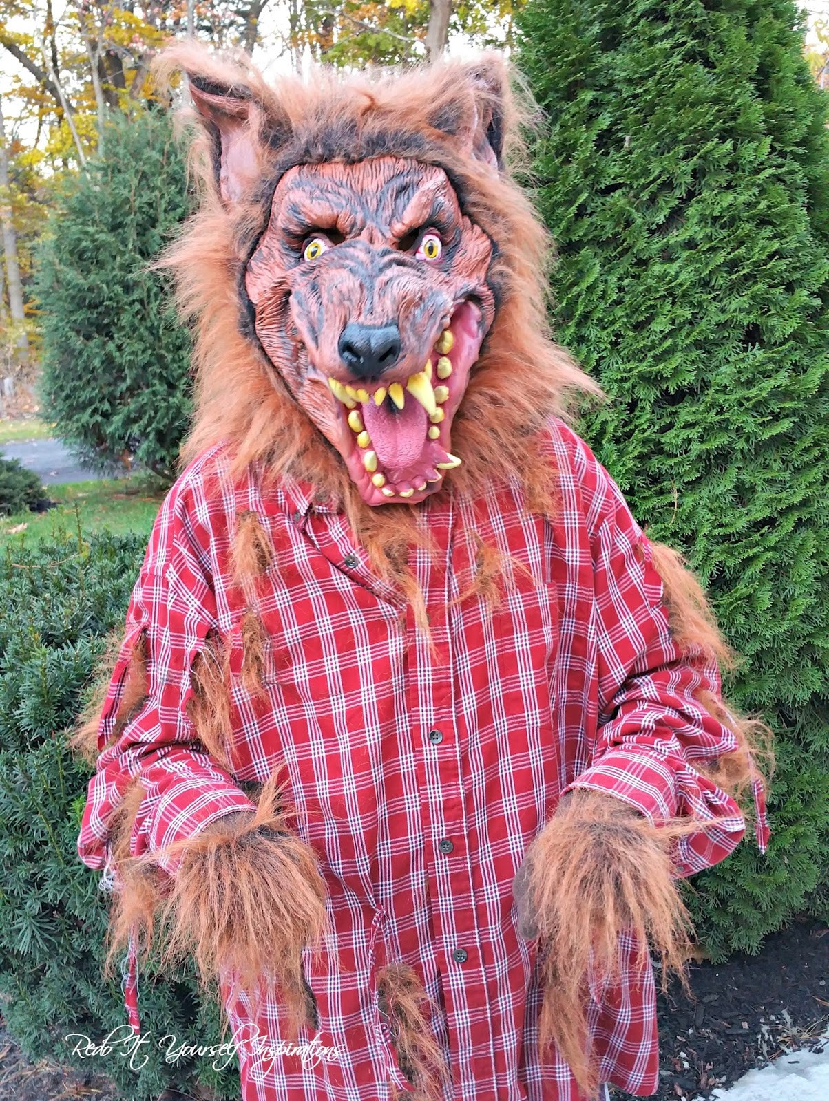 DIY Wolf Costume
 Easy DIY Werewolf Costume