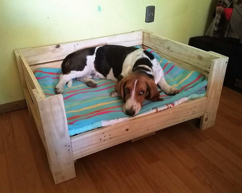 DIY Wood Dog Beds
 DIY Wooden Pallets Dog Bed Plan