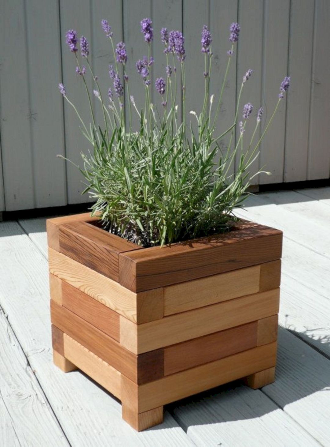 DIY Wood Planter Boxes
 DIY Wooden Planter Box Ideas 1 DIY Wooden Planter Box