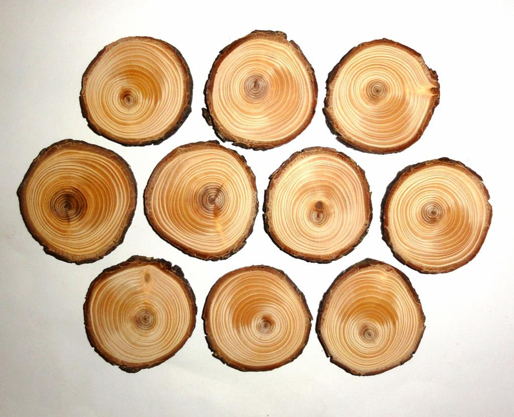 DIY Wood Slices For Wedding
 10 pieces Rustic Wood Slices Wedding DIY Craft by